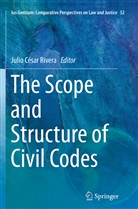 Juli César Rivera, Julio César Rivera, Julio César Rivera - The Scope and Structure of Civil Codes