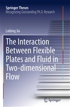 Laibing Jia - The Interaction Between Flexible Plates and Fluid in Two-dimensional Flow