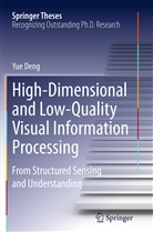 Yue Deng - High-Dimensional and Low-Quality Visual Information Processing