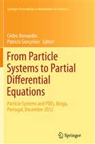 Cédri Bernardin, Cédric Bernardin, Gonçalves, Gonçalves, Patricia Gonçalves, Patrícia Gonçalves - From Particle Systems to Partial Differential Equations