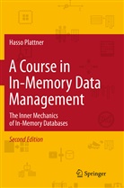 Hasso Plattner - A Course in In-Memory Data Management