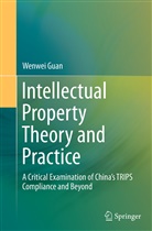Wenwei Guan - Intellectual Property Theory and Practice