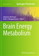 Johanne Hirrlinger, Johannes Hirrlinger, S Waagepetersen, S Waagepetersen, Helle S. Waagepetersen - Brain Energy Metabolism