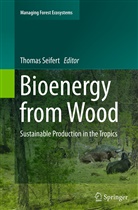 Thoma Seifert, Thomas Seifert - Bioenergy from Wood