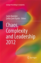 Sant Banerjee, Santo Banerjee, Sefika Sule Erçetin, Şefika Şule Erçetin, Sule Erçetin, Sule Erçetin - Chaos, Complexity and Leadership 2012