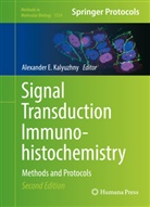 Alexande E Kalyuzhny, Alexander E Kalyuzhny, Alexander E. Kalyuzhny - Signal Transduction Immunohistochemistry