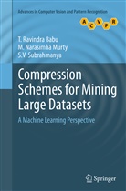 M. Narasimha Murty, Narasimha Murty, M Narasimha Murty, M. Narasimha Murty, Ravindra Babu, T Ravindra Babu... - Compression Schemes for Mining Large Datasets