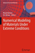 Nicol Bonora, Nicola Bonora, Brown, Brown, Eric Brown - Numerical Modeling of Materials Under Extreme Conditions