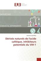 Clémence Queffélec - Dérivés naturels de l'acide caféique, inhibiteurs potentiels du VIH-1
