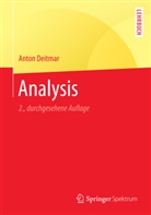 Anton Deitmar - Analysis