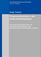 Antje Tramm - Finanzcontrolling in der Unternehmenspraxis