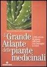 Elena Bocchietto, Mauro Ceoloni, Stefano Todeschi - Il grande atlante delle piante medicinali