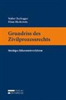 Walter Buchegger, Klaus Markowetz - Grundriss des Zivilprozessrechts