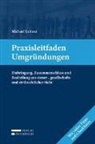 Michael Leitner - Praxisleitfaden Umgründungen