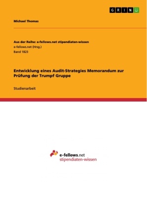 Michael Thomas - Entwicklung eines Audit-Strategies Memorandum zur Prüfung der Trumpf Gruppe