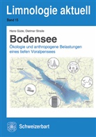 Han Güde, Hans Güde, Dietmar Straile - Bodensee