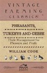 William Cook - Pheasants, Turkeys and Geese