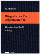 Peter Bydlinski, Peter Apathy, Peter Bydlinski, Ferdinand Kerschner - Bürgerliches Recht (f. Österreich) - 1: Allgemeiner Teil