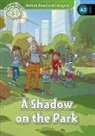 Paul Shipton - A Shadow on the Park