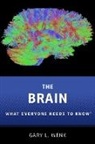 WENK, Gary L. Wenk, Gary Lee Wenk - Brain