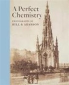 Anne M Lyden, Anne M. Lyden - Perfect Chemistry