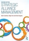Koen Burgers, Tjemkes, Brian Tjemkes, Brian (Vu Amsterdam Tjemkes, Brian Vos Tjemkes, Pepijn Vos... - Strategic Alliance Management