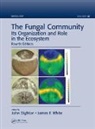 John Dighton, John (Rutgers University Pinelands Field Dighton, John White Dighton, John Dighton, James F White, James F. White - Fungal Community