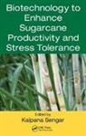 Kalpana Sengar, Kalpana (Sardar Vallabhbhai Patel Universi Sengar, Kalpana Sengar, Kalpana (Sardar Vallabhbhai Patel University of Agriculture and Technology Sengar, Sengar Kalpana - Biotechnology to Enhance Sugarcane Productivity and Stress Tolerance
