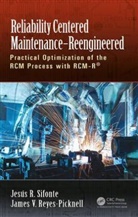 James V. Reyes-Picknell, James V. (President -- Conscious Asset Management) Reyes-Picknell, Jesus R. Sifonte, Jesús R. Sifonte, Jesus R. (President - PdMtech) Sifonte, Jesus R. (President - Pdmtech) Reyes-Pick Sifonte... - Reliability Centered Maintenance Reengineered