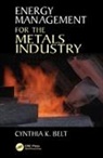 Cynthia K. Belt, Cynthia K. (Metals Energy Management Belt, Belt Cynthia K. - Energy Management for the Metals Industry