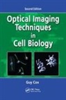 Guy Cox, Guy (University of Sydney Cox, Cox Guy - Optical Imaging Techniques in Cell Biology