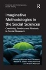 Michael S Drake, Michael S. Drake, Michael Hviid Jacobsen, Michael Hviid (Aalborg University Jacobsen, Michael Hviid Drake Jacobsen, Professor Michael Hviid Jacobsen... - Imaginative Methodologies in the Social Sciences