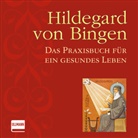 Jaqueline Dubois - Hildegard von Bingen