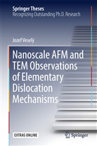 Jozef Veselý - Nanoscale AFM and TEM Observations of Elementary Dislocation Mechanisms