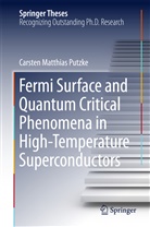 Carsten Matthias Putzke - Fermi Surface and Quantum Critical Phenomena of High-Temperature Superconductors