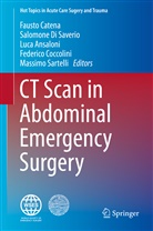 Luca Ansaloni, Luca Ansaloni et al, Fausto Catena, Federico Coccolini, Salomon Di Saverio, Salomone Di Saverio... - CT Scan in Abdominal Emergency Surgery