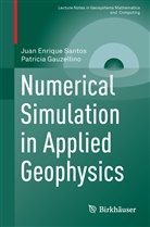 Patricia Gauzellino, Patricia Mercedes Gauzellino, Juan Enriqu Santos, Juan Enrique Santos, Patrici Mercedes Gauzellino, Patricia Mercedes Gauzellino - Numerical Simulation in Applied Geophysics