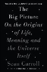 Sean Carroll, Carroll Sean - The Big Picture
