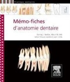 Major M Ash, Major M. Ash, Major M. (1921-2007) Ash, Françoise Tilotta, Major M. Ash, Stanley J Nelson... - Mémo-fiches d'anatomie dentaire
