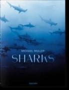 Jr. Cousteau, Philippe Cousteau, Philippe (Jr.) Cousteau, Philippe Cousteau Jr, Jr, Jr.... - Sharks