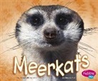 Jody S Rake, Jody S. Rake - Meerkat