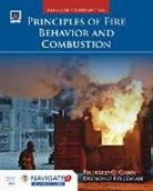 Raymond Friedman, Richard Gann, Richard Friedman Gann - Principles of Fire Behavior and Combustion