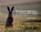 Christine Gregory - Brown Hares in the Derbyshire Dales