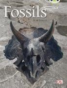 Jill McDougall - Fossils (Gold A) NF