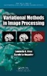 Carole le Guyader, Luminita A. Vese - Variational Methods in Image Processing