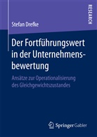 Stefan Drefke - Der Fortführungswert in der Unternehmensbewertung