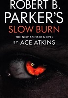 Ace Atkins, Mr Ace Atkins - Slow Burn