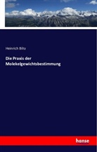 Heinrich Biltz - Die Praxis der Molekelgewichtsbestimmung