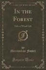 Maximilian Foster - In the Forest