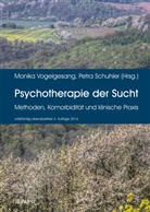 Schuhler, Schuhler, Petra Schuhler, Monik Vogelgesang, Monika Vogelgesang - Psychotherapie der Sucht
